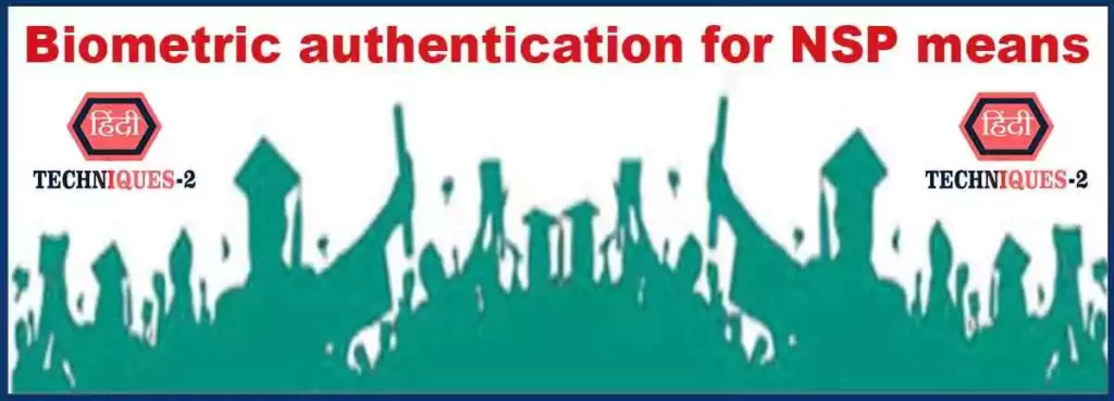 Biometric authentication for NSP means